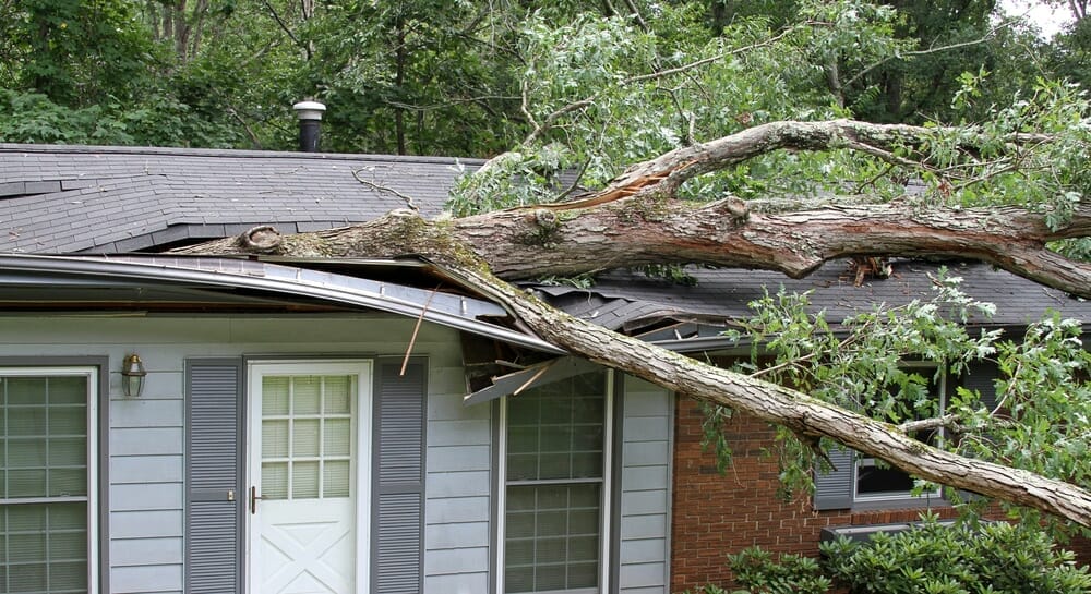 What to Do if a Storm Damages Your Roof in Bradenton