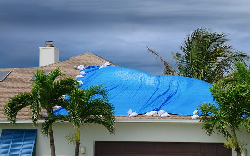 What to Do if a Storm Damages Your Roof in Bradenton