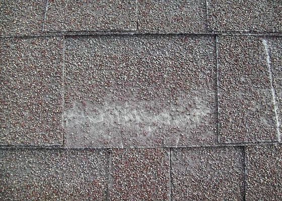 granular loss asphalt roofing shingle