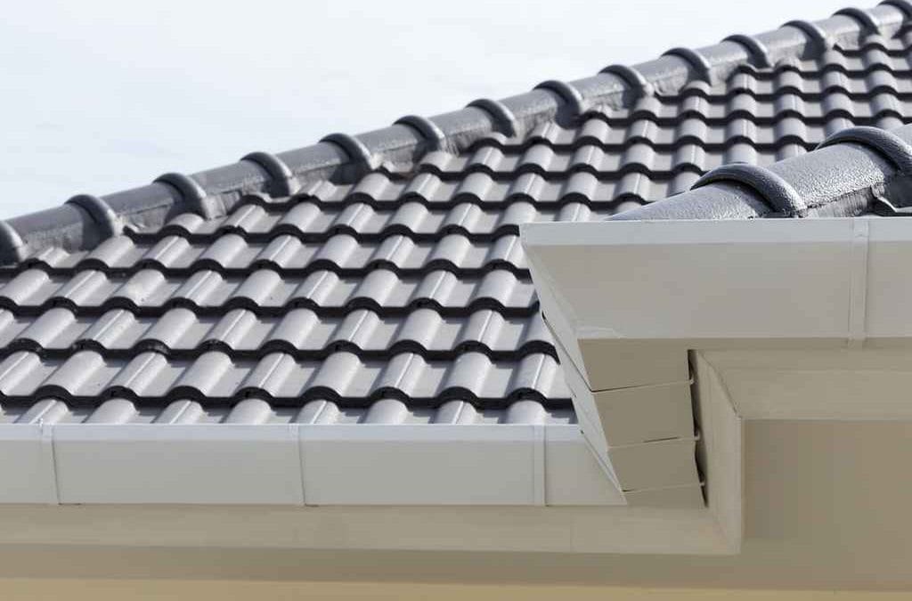 Which Metal Roof is Best for My Home in Bradenton?